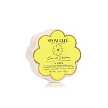 Load image into Gallery viewer, Daisy Collection Spongette