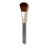 Powder Complexion Brush