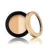 Circle\Delete Eye Concealer