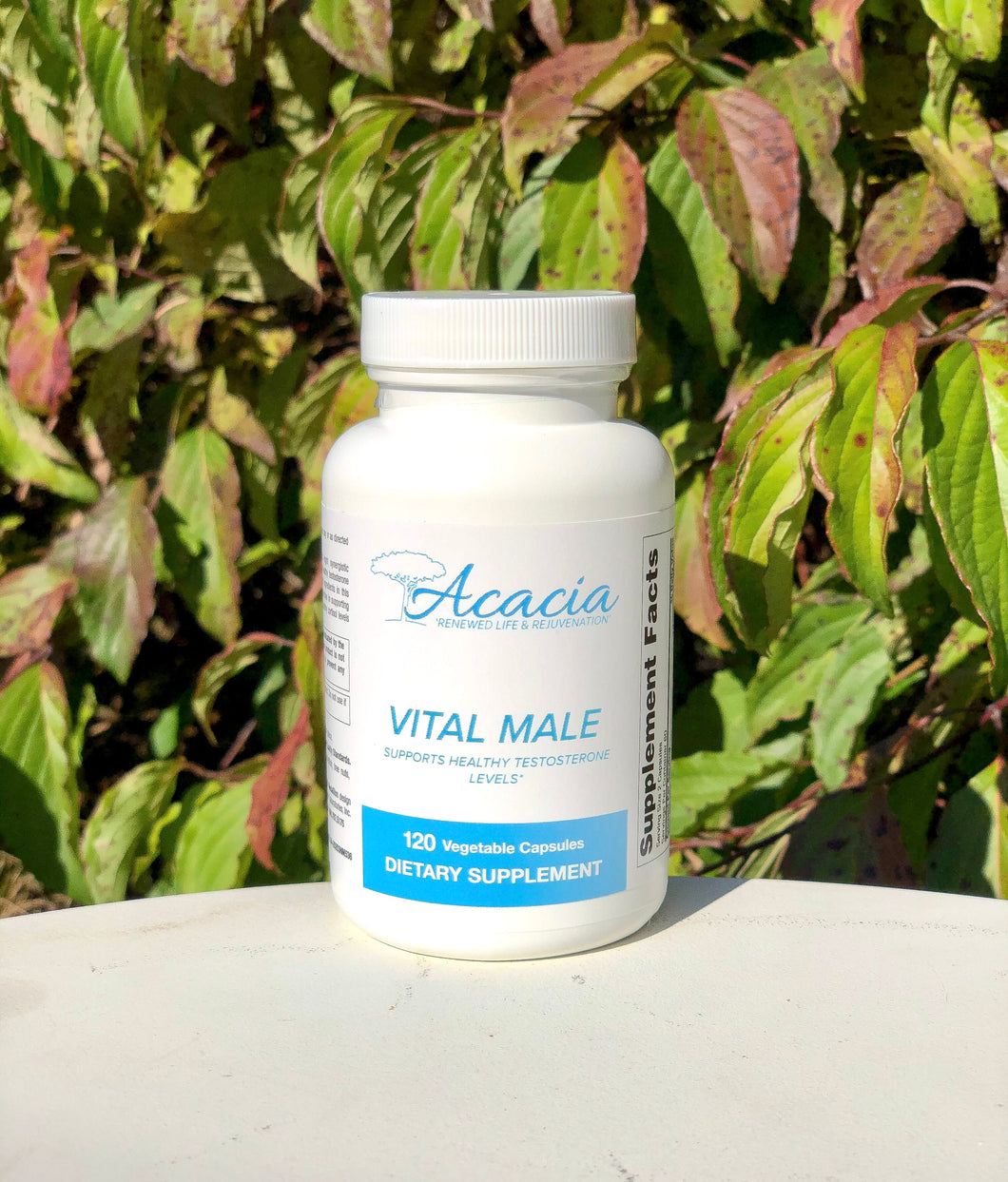 Vital Male 120 ct.